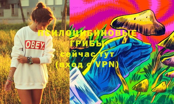 mdpv Нязепетровск
