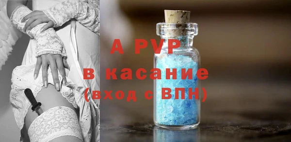 хмурый Няндома
