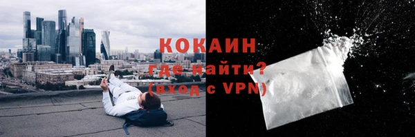 дмт Нягань