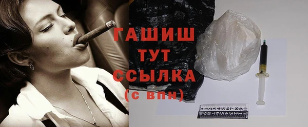 хмурый Няндома