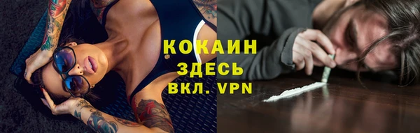 дмт Нягань