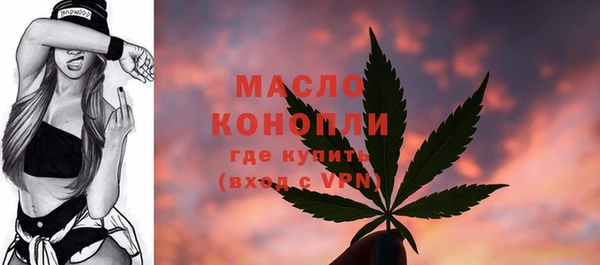 хмурый Няндома