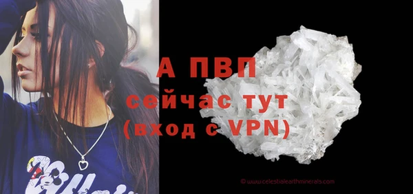 мдпв Аша