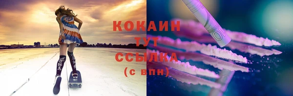 дмт Нягань