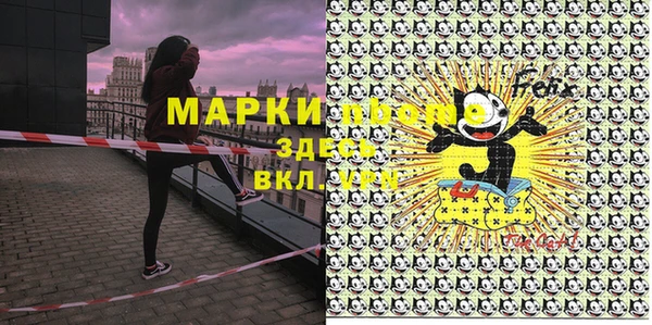 дмт Нягань