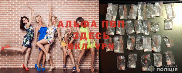 хмурый Няндома