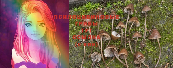 дмт Нягань