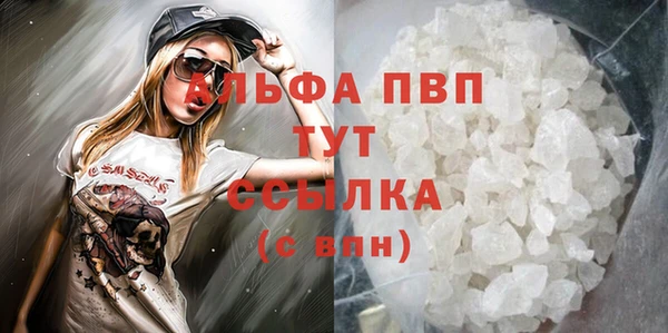 хмурый Няндома