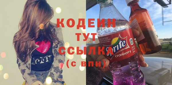 хмурый Няндома