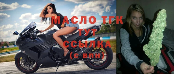 хмурый Няндома