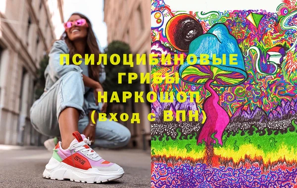 дмт Нягань