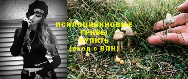 mdpv Нязепетровск