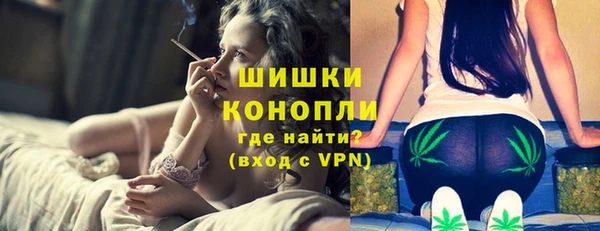 дмт Нягань