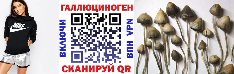 МЕГА маркетплейс  Правдинск  Псилоцибиновые грибы MAGIC MUSHROOMS 